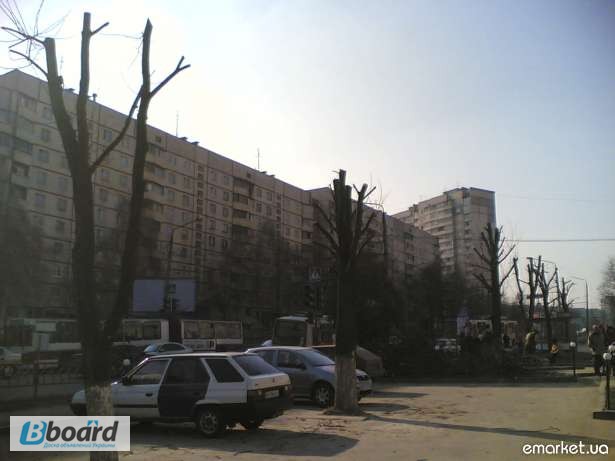 Фото 2. Обрезка деревьев, спилить деревья, ветки, удалить пень Харьков