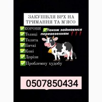 Закупівлі врх