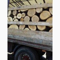 Продам дрова твердых пород (дуб, ясень, акация) и фруктовые дрова
