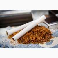 Реализую тютюн привозные і український, безпалок і сміття, Гільзи з довгим фільтром