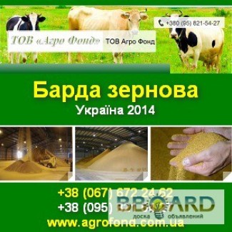 Купить барду Зернову, суху. Протеїн 32-36 % Україна.