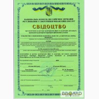 Аудит на вимогу Національної комісії, що здійснює державне регулювання ринків фінпослуг