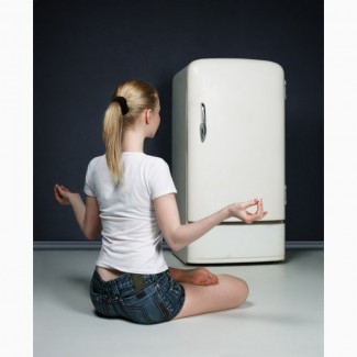 Ремонт холодильников на дому в Виннице и районе
