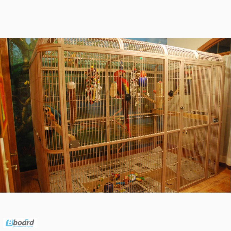 Фото 8. Клетки-вольеры для попугаев, канарейки и других птиц