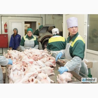 Рабочие на куриный завод в Польшу