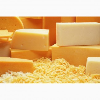 Продажа твёрдого сыра оптом Украина
