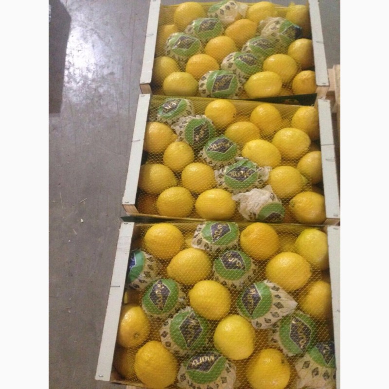 Фото 4. Лимоны Марокканские
