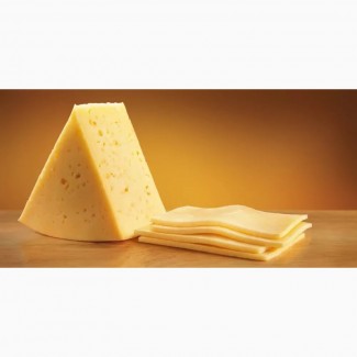 Продам твёрдый сыр от производителя