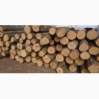Продам дрова колоті сухі Луцьк, дрова купити, дрова ціна