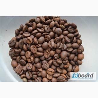 Кофе свежеобжаренный в зернах Робуста Индия Черри AA и другие сорта