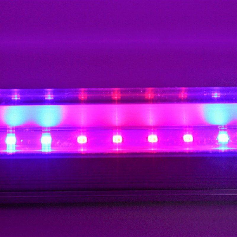 Фото 2. Светодиодный светильник T8-2835-0.6FS R:B=4:2 8W ( 4 красных 2 синих ФИТО свет ) растений