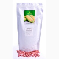 Сахарная кукуруза Чемпион F1, Sh2, среднеспелый (76-78 дней) 1000 семян