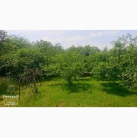 Дача на участке 16 сот.в Трушках.Рядом лес и речка.Молодой сад