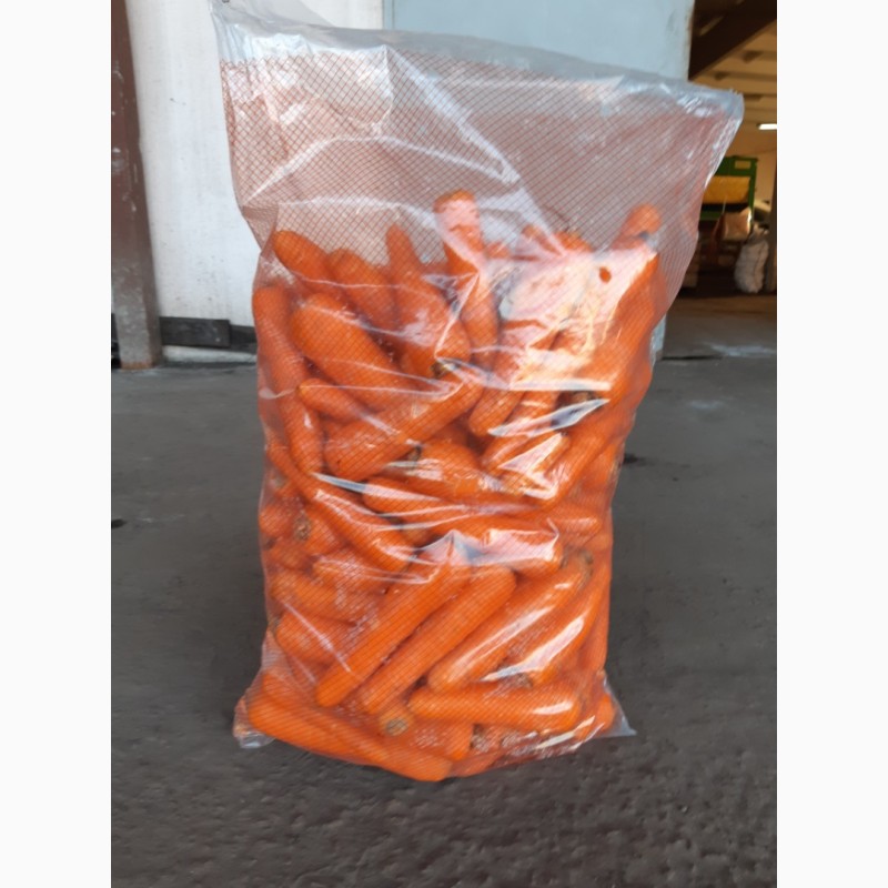 Фото 6. Купим морковь, картофель в Молдове