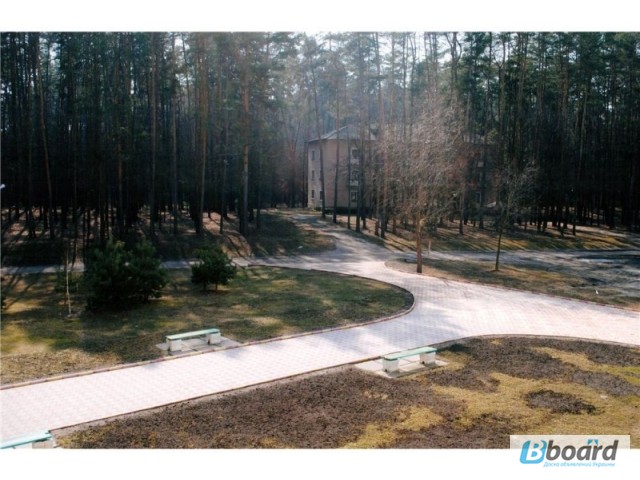 Фото 3. Продается уникальный санаторный комплекс в 10 км от г. Черкассы, в лесу на берегу Днепра