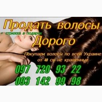 Покупаем волосы дорого в Киеве
