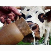 Заменитель молока выпойка животных