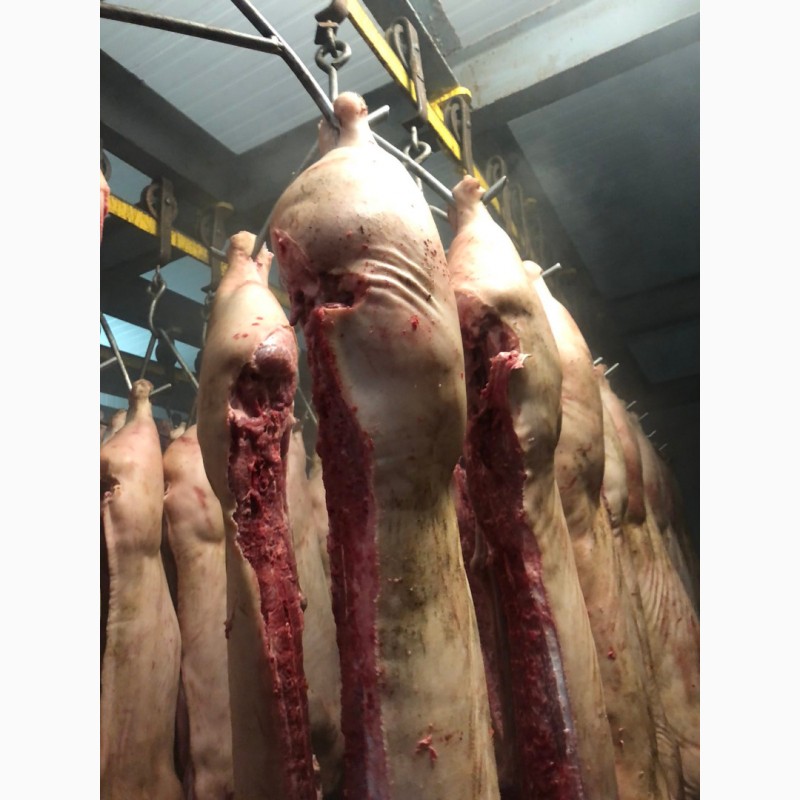 Фото 3. Продам свинину и говядину замороженную от производителя с 5 тонны