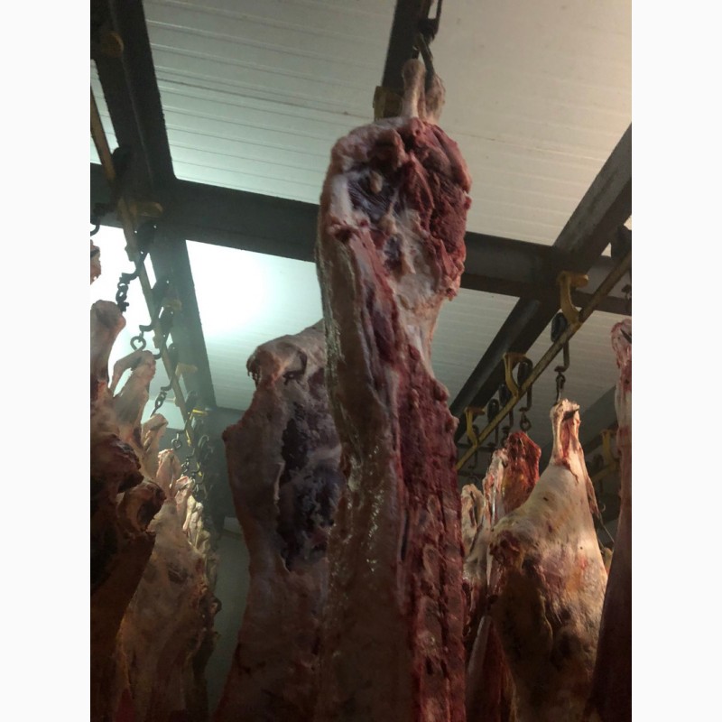 Фото 5. Продам свинину и говядину замороженную от производителя с 5 тонны