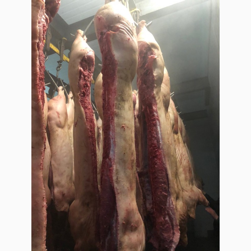 Фото 7. Продам свинину и говядину замороженную от производителя с 5 тонны