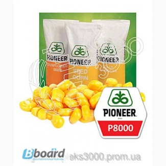 Семена кукурузы Pioneer P8000 (ФАО 230, раннеспелый)