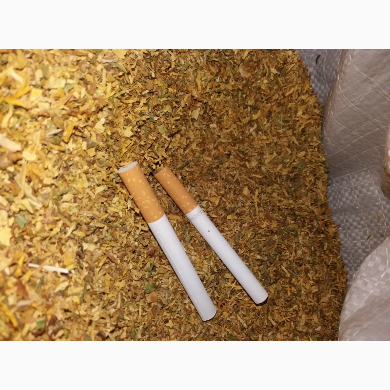 Фото 6. Ферментированный табак винстон мальборо кемел верджиния берли