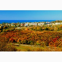 Виноградники, грушевые и яблочные сады, сельхоз земля в Севастополе