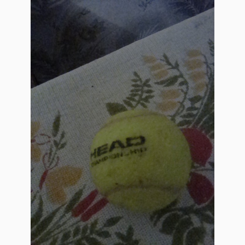 Фото 4. Мячики для большого тенниса