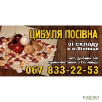 Лук-севок, Арпачик, тыканка, лук севок