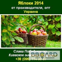 Яблоки 2014 Яблоки опт, яблоки свежие Украина