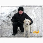 Кінолог. Дресирування собак Кам#039;янець-Подільський