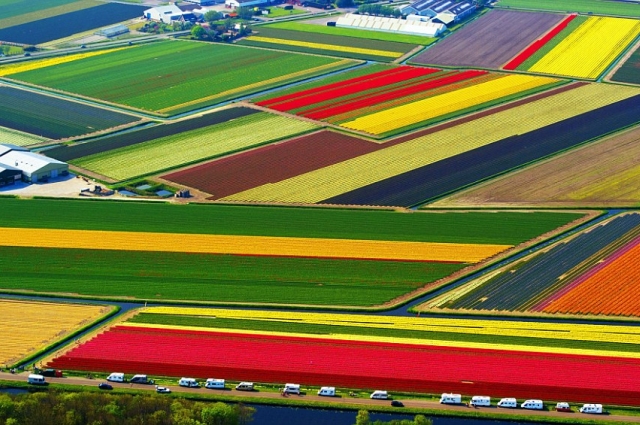 Фото 5. Работа и вакансии на сельскохозяйственных работах в Голландии