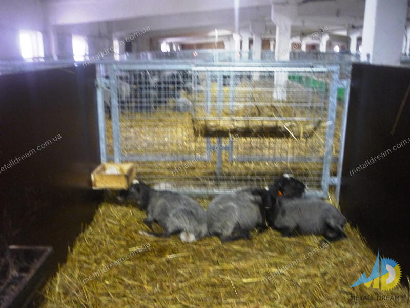 Фото 2. Стійлове обладнання для утримання кіз та овець