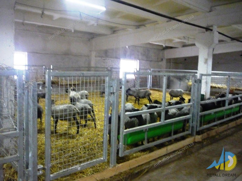 Фото 6. Стійлове обладнання для утримання кіз та овець