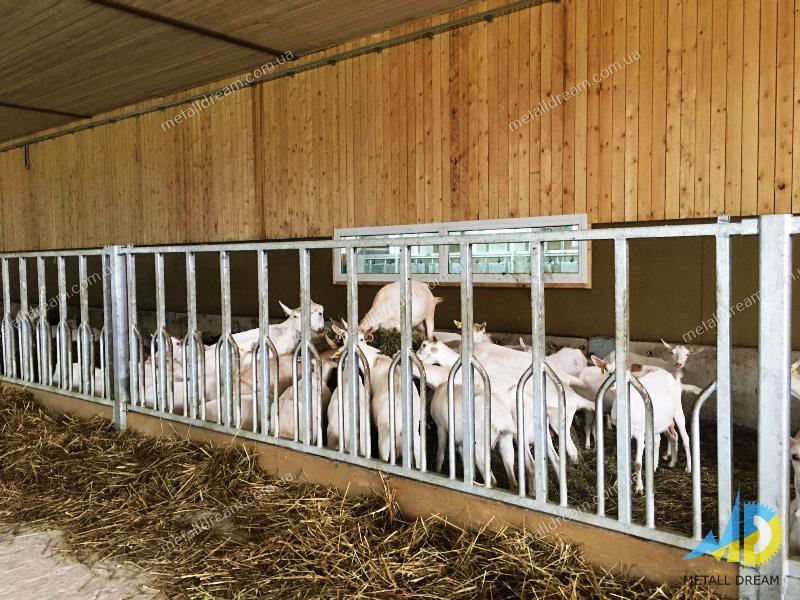Фото 9. Стійлове обладнання для утримання кіз та овець