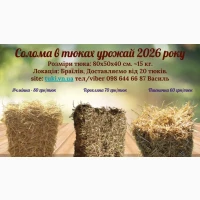 Солома пшенична ячмінна, горохляна в тюках тюки збору урожаю 2026 р в НАЯВНОСТІ