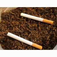 Продам табак Берли Боливийский Мериленд для сигаретних гильз