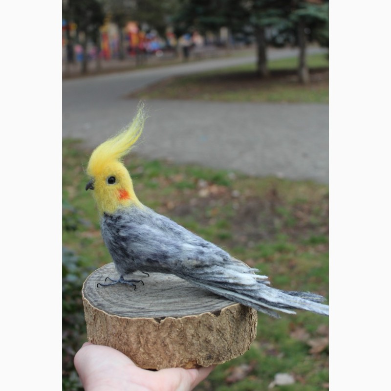 Фото 5. Корелла игрушка хендмэйд попугай валяный ручной работы сувенир подарок интерьерна