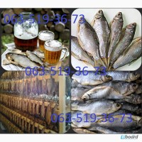 Продам Рыба вяленая оптом (Таранка)