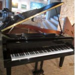 Купить пианино в Киеве, купить рояль Киев белого, черного, и красного цвета?