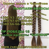 Продать волосы в Чернигове Покупаем волосы Салон красоты Богиня