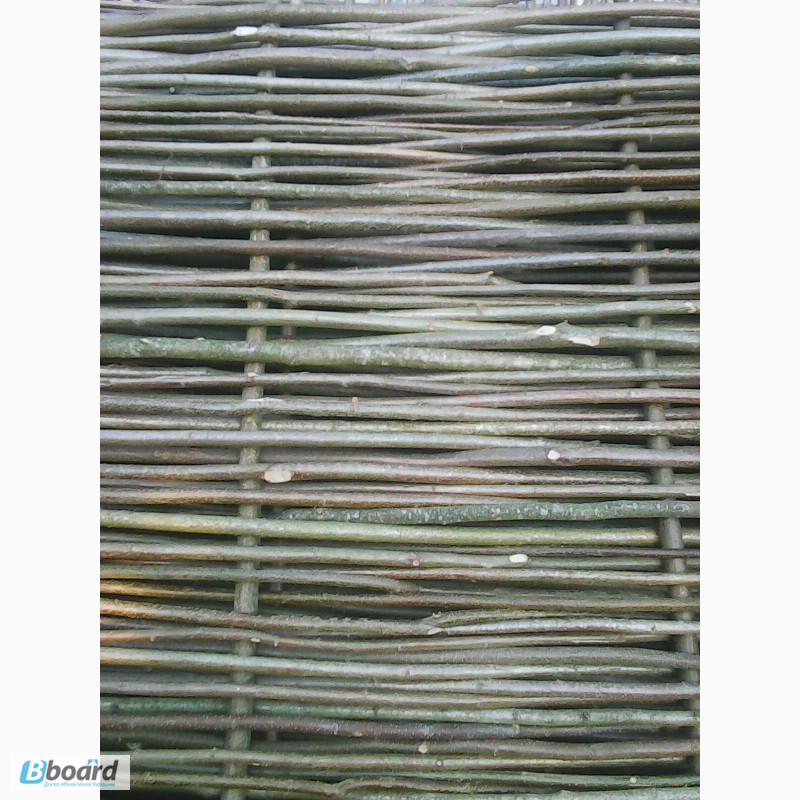 Фото 2. Украинский тын, плетеный забор из лозы