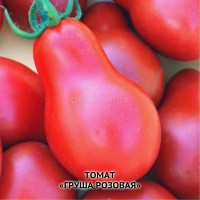Насіння помідора Груша рожева - 10нас