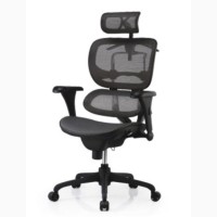 Кресло офисное ERGOHUMAN Black спинка/сетка, сидение/ткань