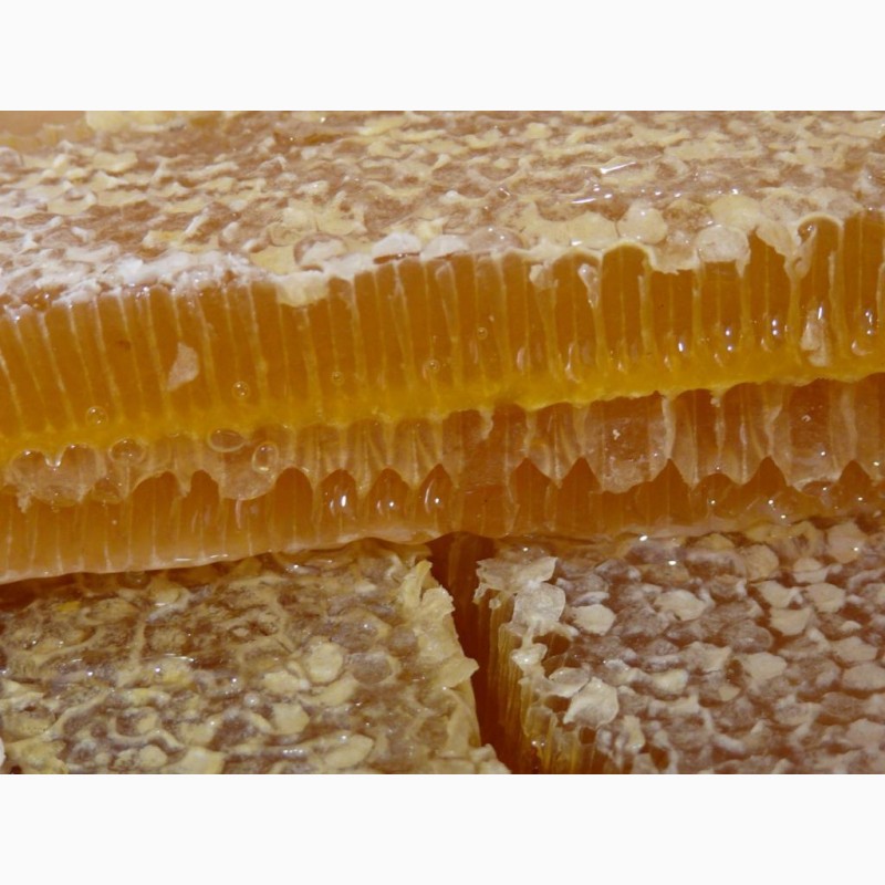 Фото 6. Мёд. Сотовый мёд. Натуральный. Вызревший нектар лечебных трав заповедника