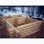 Строительство срубов в Украине. Купить сруб недорого