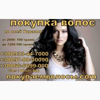 Дорого купим волосы днепропетровск, скупка волос в днепропетровске, сдать волосы Украина
