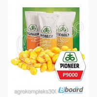 Семена кукурузы Pioneer P9000 (ФАО 310, среднеспелый)