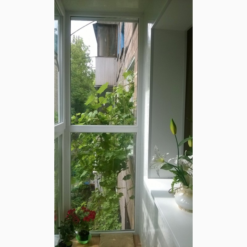 Фото 3. Металлопластиковые окна, балконы от производителя