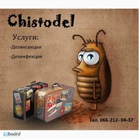 Дезинфекция Дезинсекция